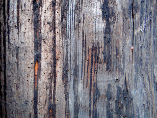 texture of old wooden wall