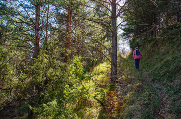 Obraz premium Hameau de Berghe Inférieur-Sentier du Col de Tate