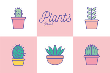 Isolated plants inside pots line and fill style icon set vector design