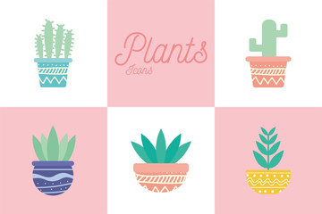 Isolated plants inside pots block gradient style icon set vector design