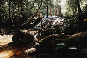 ЗАРИСОВАТЬ ЛЮДЕЙ!!!