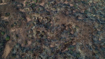 Walking through volcanic lava and contemplating the landscape