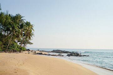 Tropical sand beach with cocnut palm trees.