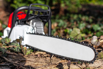 Kettensäge Benzinkettensäge Sägeblatt Chainsaw liegt auf Baumstamm im Wald copy space close up