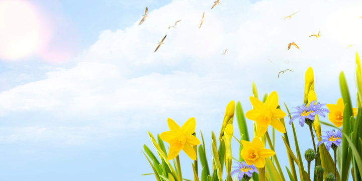Easter background, Spring concept