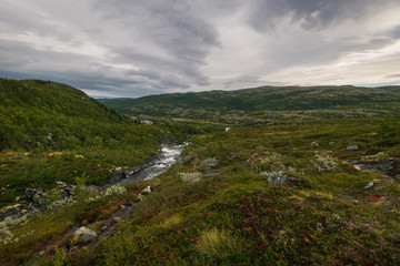 Fototapeta na wymiar Hardangervidda 2