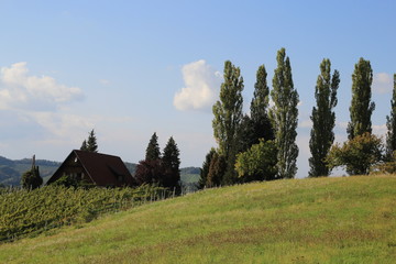 Urlaubsregion südliche Steiermark