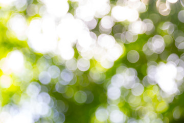 abstract, art, backdrop, background, bamboo, beautiful, beauty, blur, blurred, bokeh, bright,...