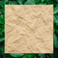 Brown wrinkle recycle paper on green leaves use for background