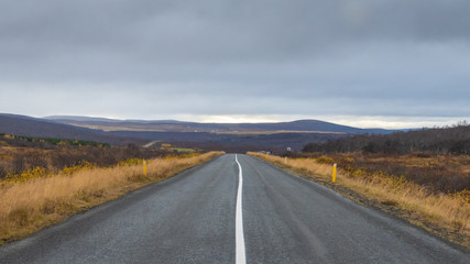 Empty road in Iceland with continues middle line during grey autumn day