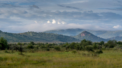 South Africa's savanna at the Pilanesberg National Park