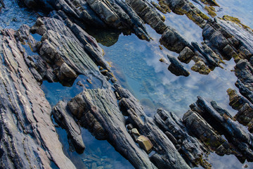 Picturesque surface of turbidites on the northern coast of Spain near the village of Armintza. Basque Country. Northern spain