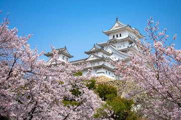 桜の姫路城