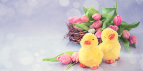 Spring background with tulips. Card for Mothers day, 8 March, Easter