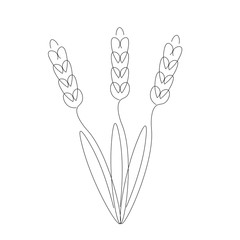 Spring flowers on white background isolated. Continuous line drawing. Vector illustration