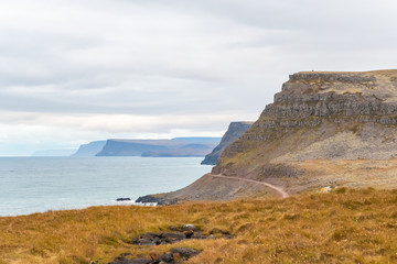 Fototapeta premium Latrabjarg in Iceland cliff coast unpaved road along steep coast into national park