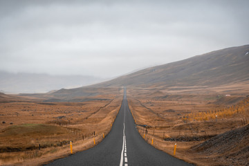 Long straight road in Iceland during grey autumn day close to East Fjords