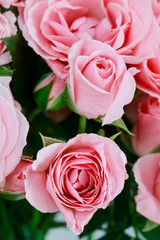 Beautiful pink roses in big bouquet.