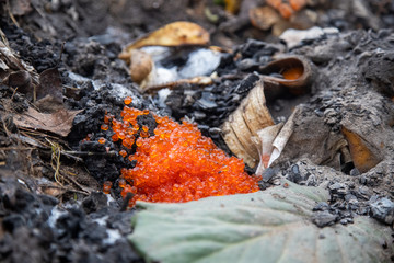 delicacy delicious expensive red caviar close-up in a heap of compost waste trash