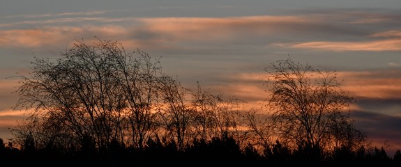 Dawn impressions in Falkensee near Berlin Spandau on March 1, 2020, Germany