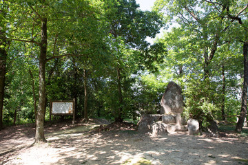 明智城址 -明智光秀が生まれた城とされ、土岐頼兼が築いた城-