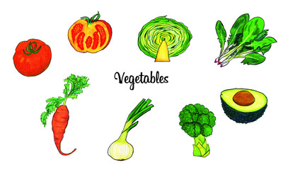 野菜　イラスト　手書き