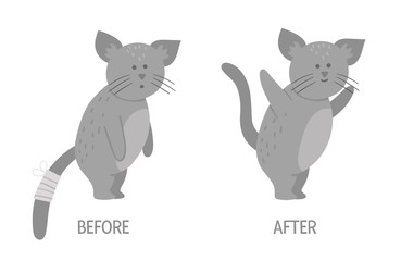 Vector ill animal versus healthy. Cute cat with bandage on its tail. Funny patient characters. Medical illustration for children. Before and after illness picture. Recovery concept.