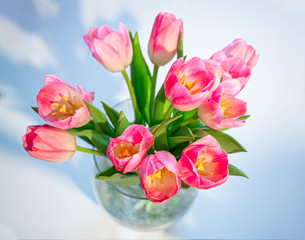 A bouquet of pink tulip flowers in a glass vase with water top view.