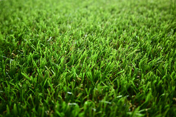 green grass turf floor artificial