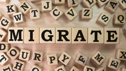 Word MIGRATE on wooden blocks beige background top view, scattered cubes around random letters