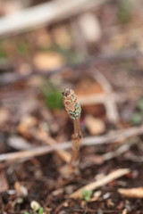 I am looking forward to warmer weather