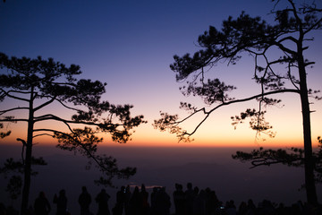 Sunrise at Phu Kradung National Park, Thailand