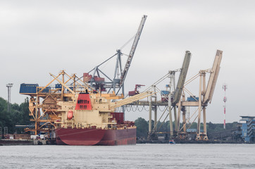 Fototapeta premium MARITIME TRANSPORT - Freighter at transshipment quay of the seaport