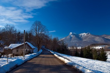 Fototapeta premium winter