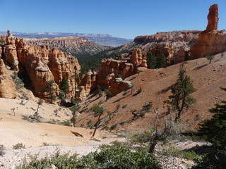 Fototapeta premium Bryce Canyon aux Etats-Unis