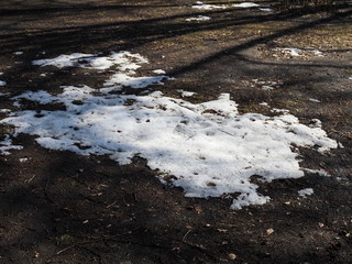 thawed patch. The melted snow exposed last year's autumn dried, withered foliage. spring soon. snow is melting. winter.
