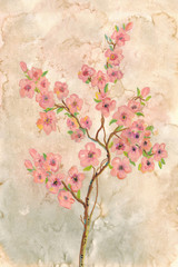 Charming hand-painted paintings with watercolor flowering branches on a delicate peach background with water stains. texture for textile prints, for designer, close-up, copy space
