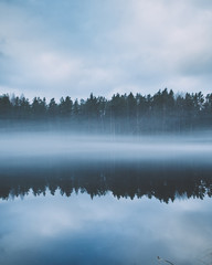fog and trees in Karelia