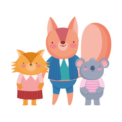 cute squirrel fox and koala animal cartoon character