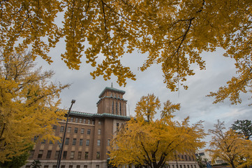 神奈川県庁本庁舎