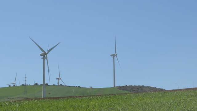 Wind turbines energy moving the blades in a field a sunny day with blue sky