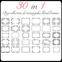 Big collection of 30 rectangular floral frames. Big floral botanical flowers set isolated on a white background. Hand drawn outline vector collection. Spring blossom