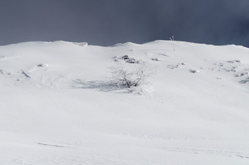 Ośnieżone krzewy na połoninie Wetlińskiej Bieszczady © wedrownik52