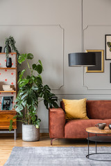 Tall green monster plant in concrete pot next between vintage bookshelf and brown sofa