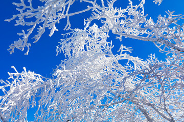 Winter snow scene at Daedunsan Provincial Park