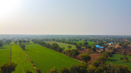 Arial top view of agriculture field 