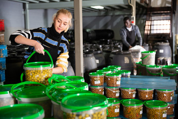 Workwoman carrying plastic containers with ripe olives