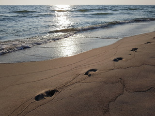 Footprints of a man walking along the sand at the water's edge