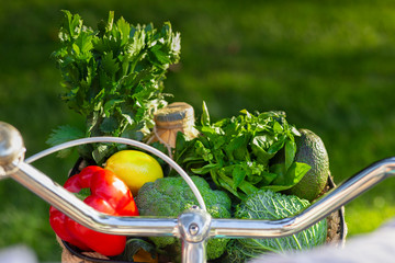 Eco life. Bicycle full of fresh vegetarian products over green grass