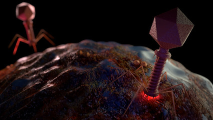 3D render bacteriophage flu virus micro organism cell under microscope, coronavirus disease, COVID-19